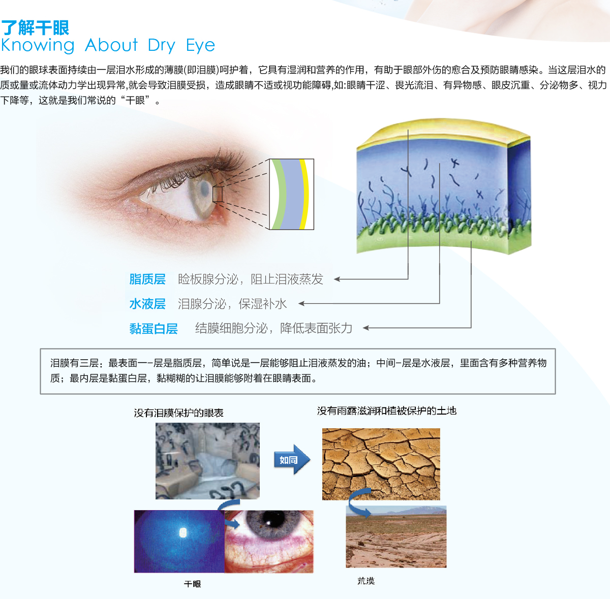 保护眼睛~人人必藏 一、眼睛详解……|保护眼睛|眼白|红血丝_新浪新闻