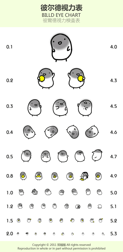 疯狂小鸟视力表