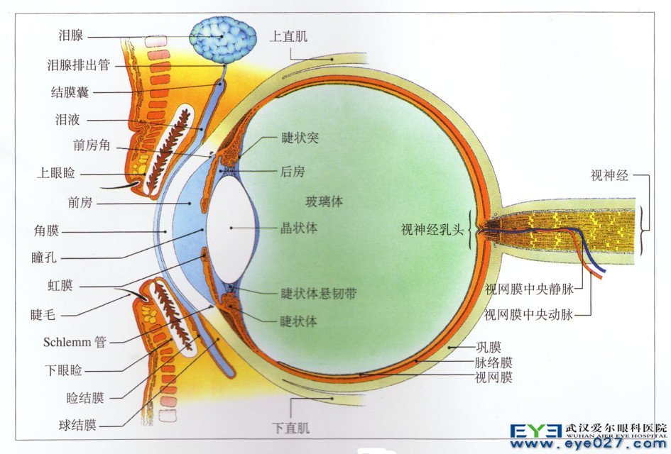 哪些情况需要眼球摘除手术?