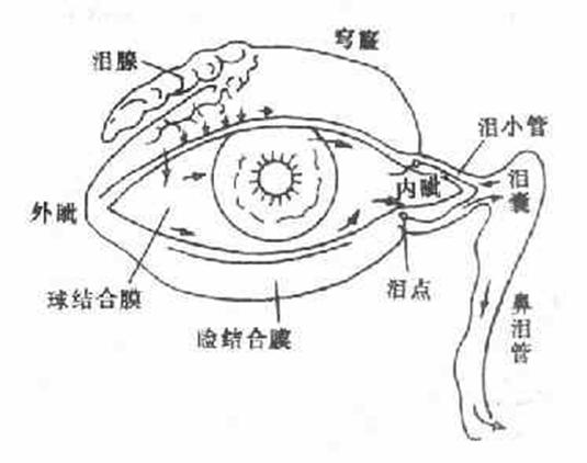 泪道阻塞